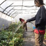 El 65% dels agricultors de la la regió metropolitana de Barcelona té més de 55 anys i el relleu escasseja. | Foto: Fundació BCN Formació Professional.