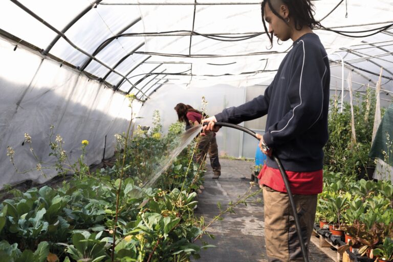 El 65% dels agricultors de la la regió metropolitana de Barcelona té més de 55 anys i el relleu escasseja. | Foto: Fundació BCN Formació Professional.