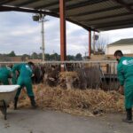 Cada any, les 14 escoles compten amb uns 700 alumnes matriculats | Foto: Departament d'Acció Climàtica, Alimentació i Agenda Rural.