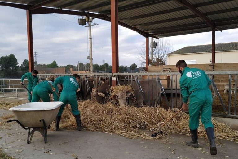 Cada any, les 14 escoles compten amb uns 700 alumnes matriculats | Foto: Departament d'Acció Climàtica, Alimentació i Agenda Rural.